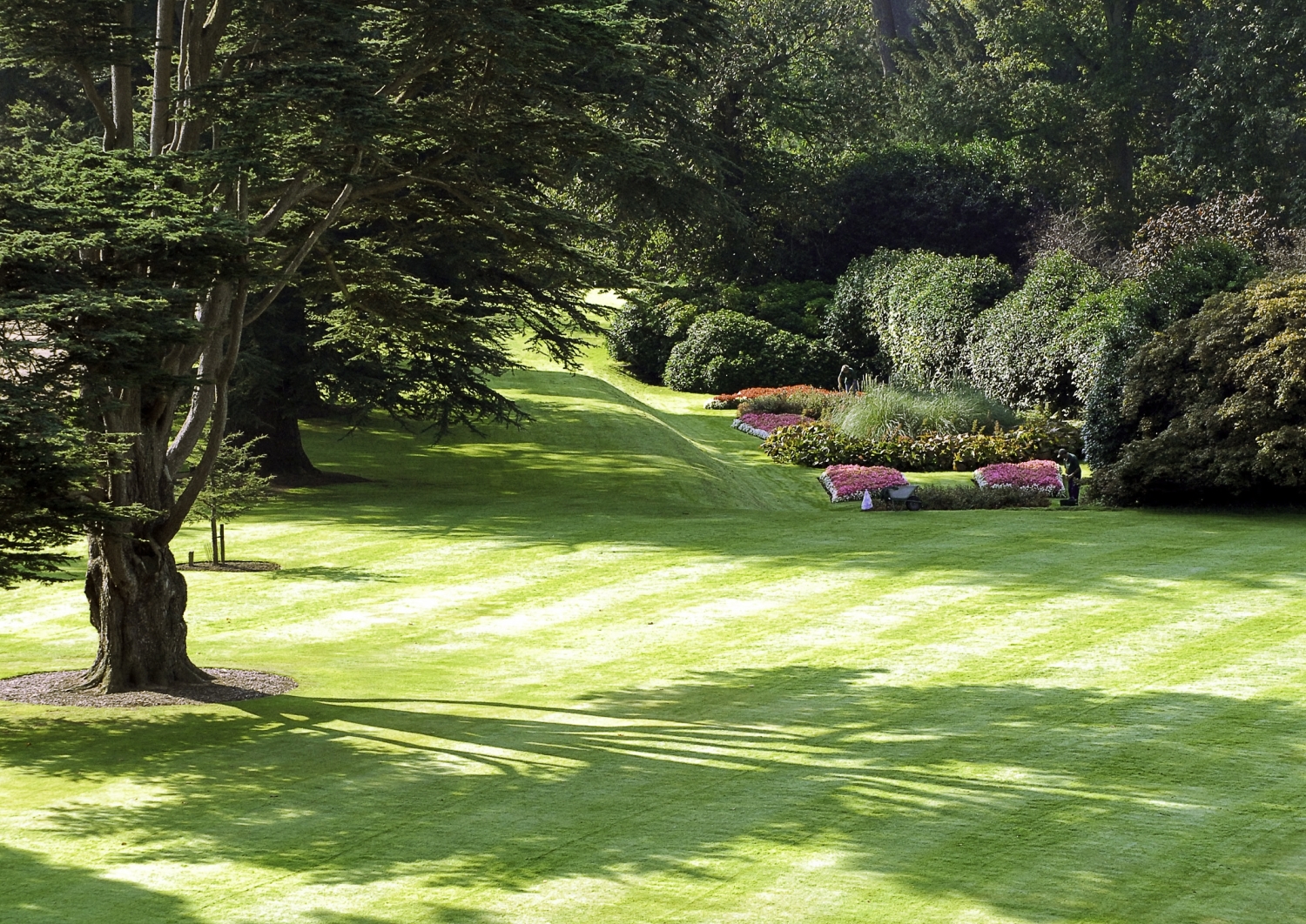 Kingston Lacy, Wimborne Minster, Dorset, BH21 4EA - National Garden Scheme