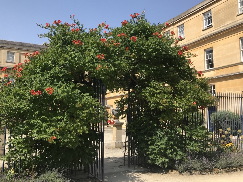 Trinity College