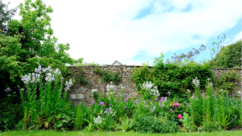 Lime Tree Cottage