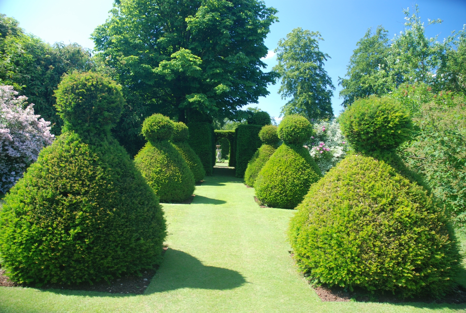 Rockcliffe,, Cheltenham, Gloucestershire, GL54 2JW - National Garden Scheme