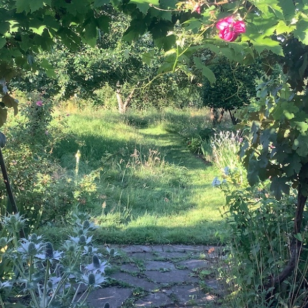 Trostrey Lodge image