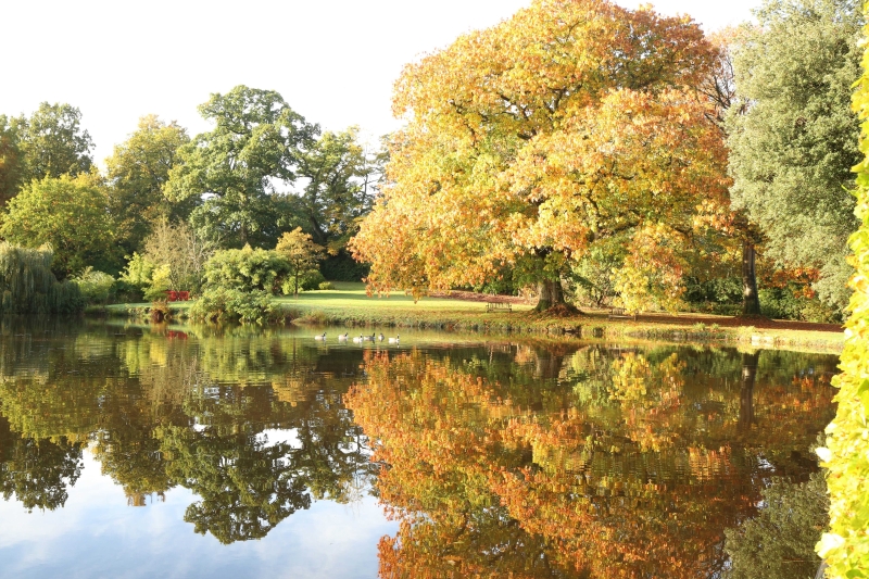 Forde Abbey Gardens