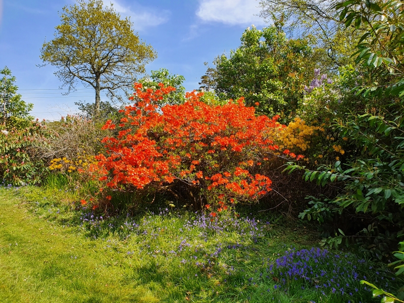 Shobrooke Park Gardens