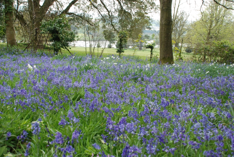 Shobrooke Park Gardens