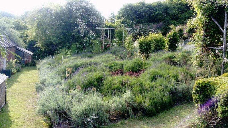 Littlebredy Walled Gardens