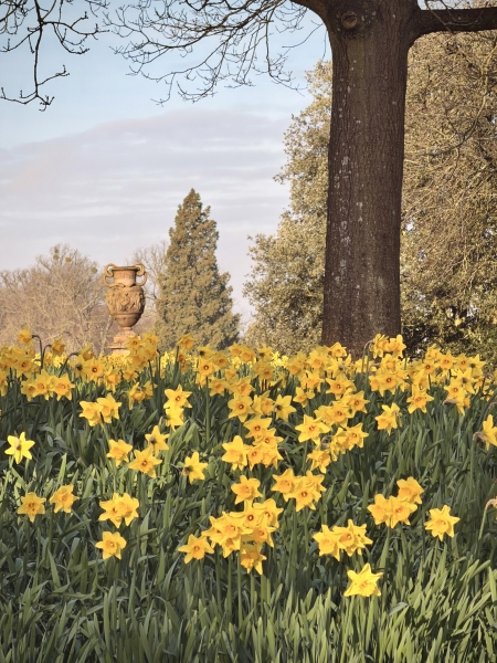 Burghley House Private South Gardens