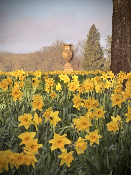 Burghley House Private South Gardens