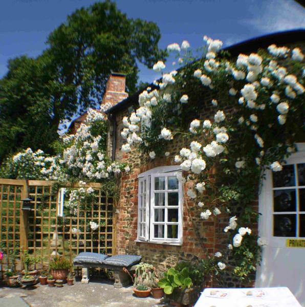 Tilford Cottage