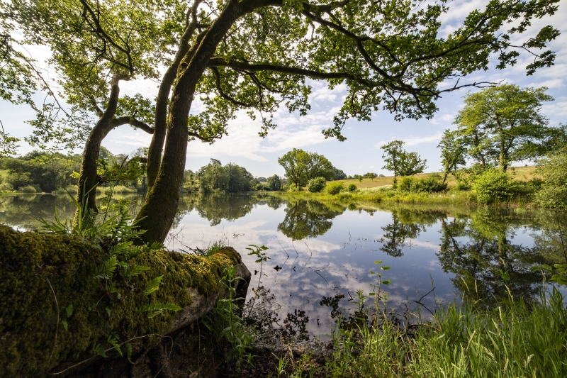 National Botanic Garden of Wales