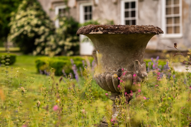 Bisterne Manor & Stable Family Home Trust