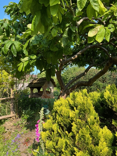 Nutbourne Village Gardens