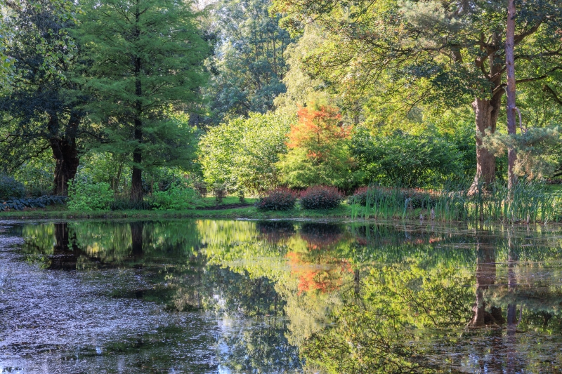The Lovell Quinta Arboretum