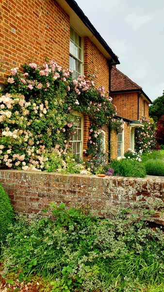 The Manor Garden