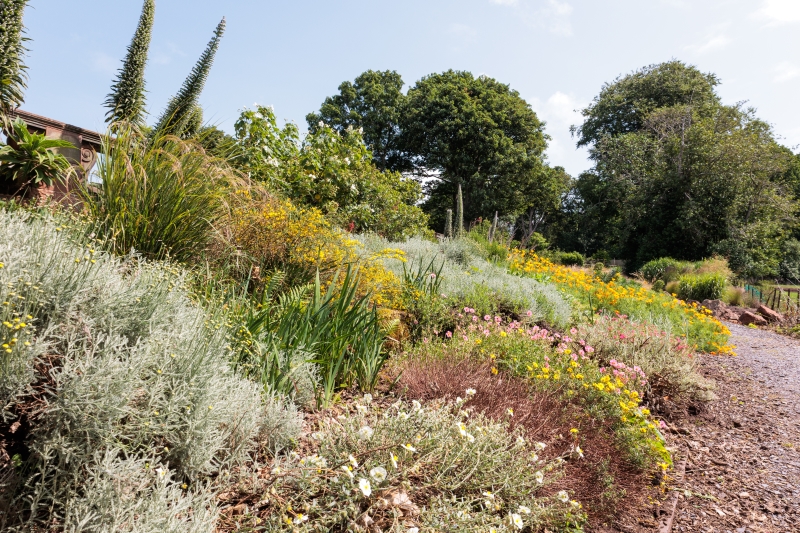 Burton Village Gardens