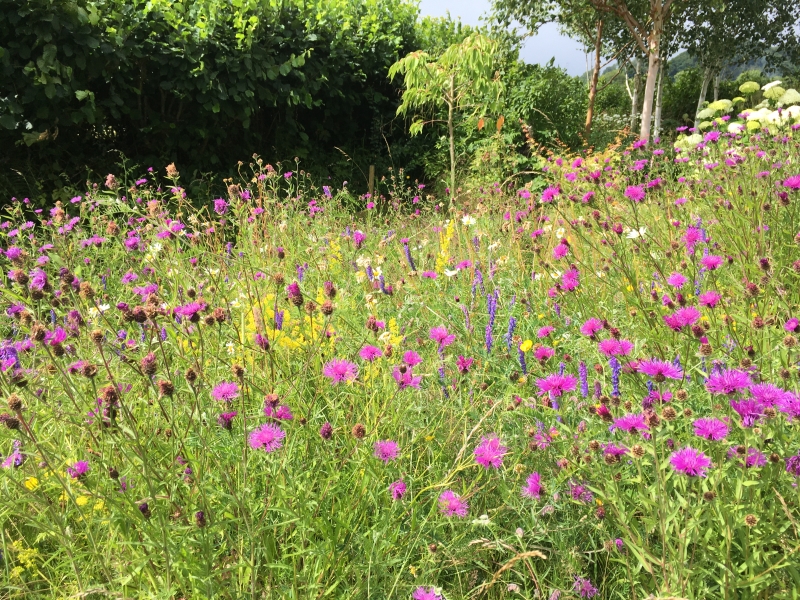 Bovey Tracey Gardens