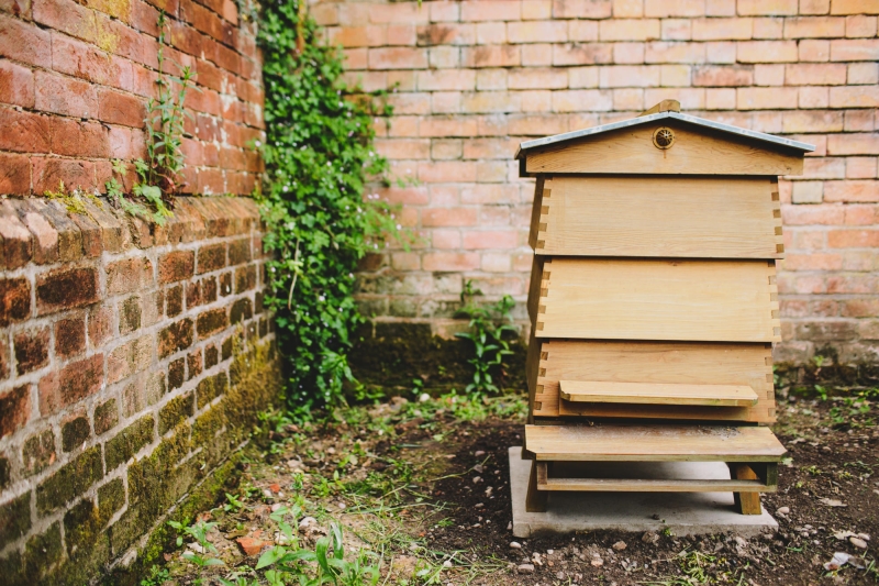 Walled Garden at Hampton Manor