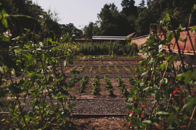 Walled Garden at Hampton Manor
