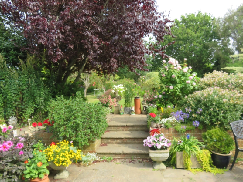 Bexhill-on-Sea Trail