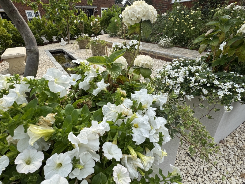 Bexhill-on-Sea Trail
