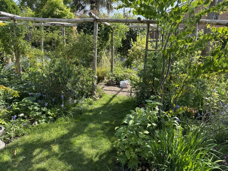 Bexhill-on-Sea Trail