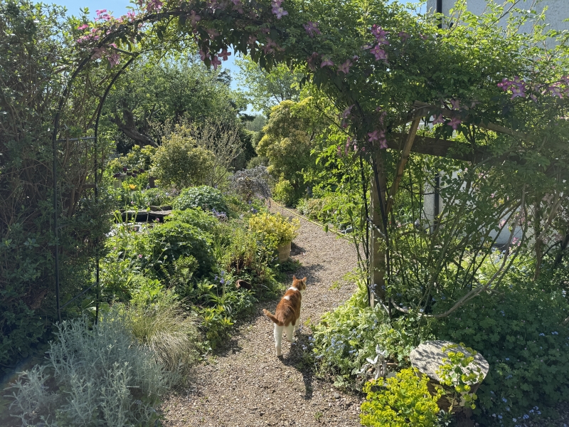 Bexhill-on-Sea Trail