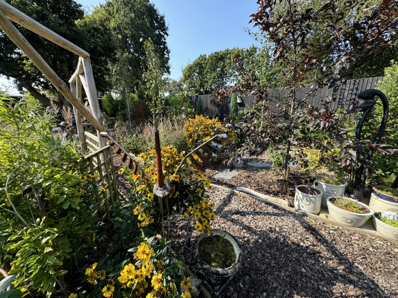Bexhill-on-Sea Trail