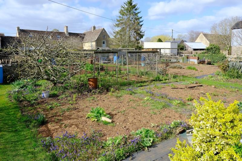The Allotments