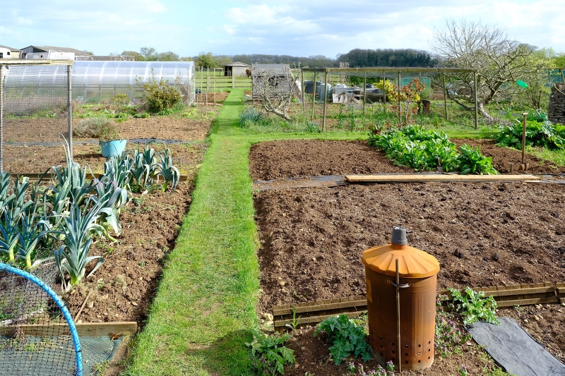 The Allotments