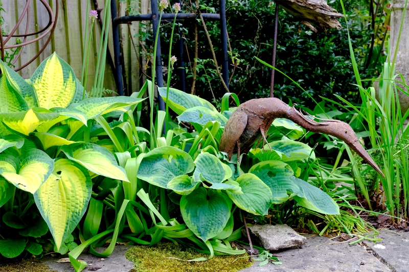 Kemps Yard