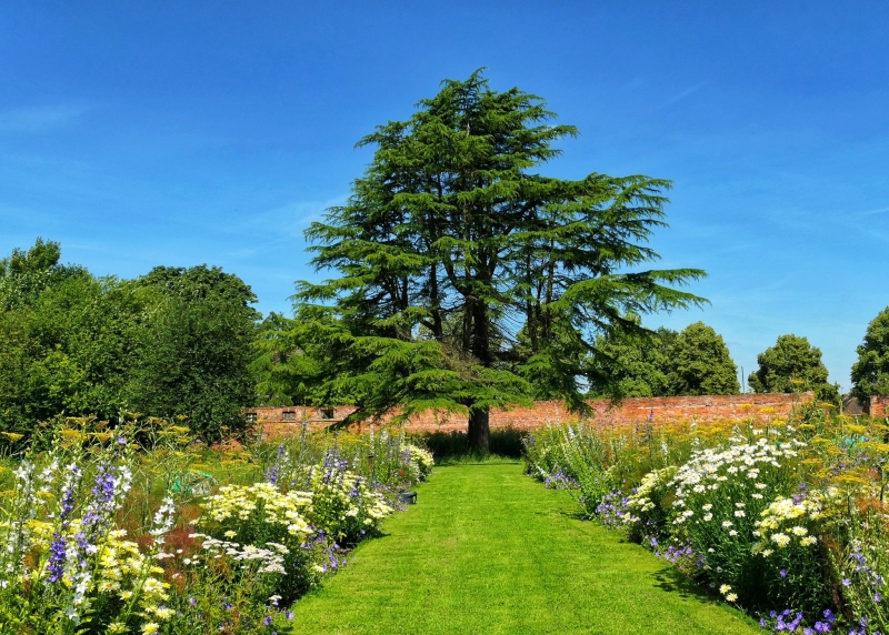 Wollaton Hall Walled Garden