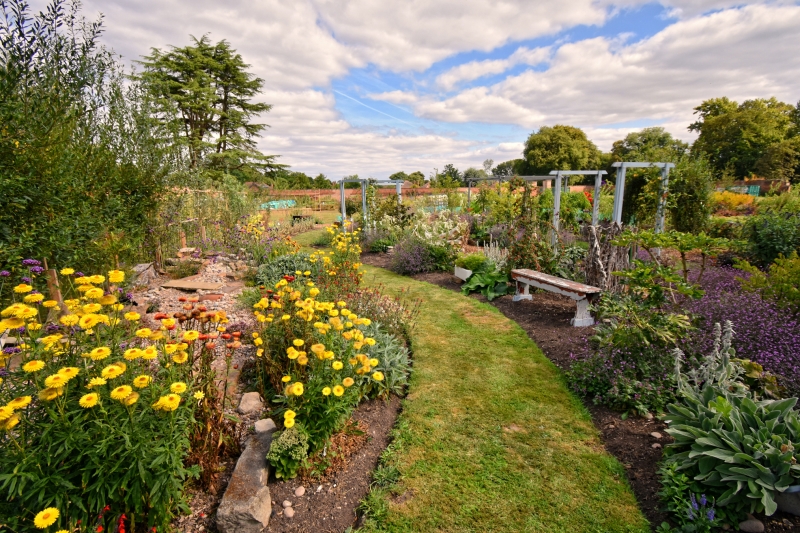 Wollaton Hall Walled Garden