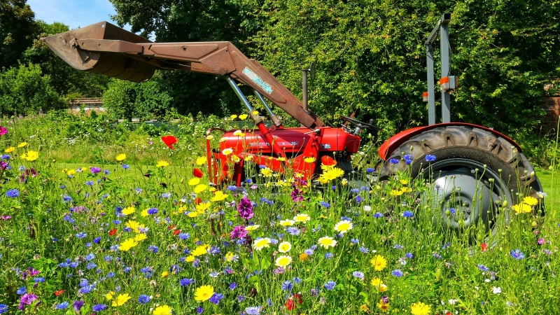 Wollaton Hall Walled Garden