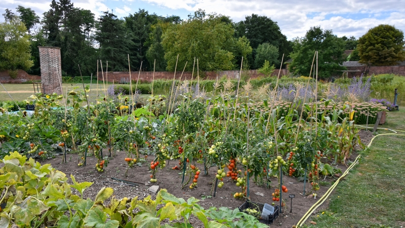 Wollaton Hall Walled Garden