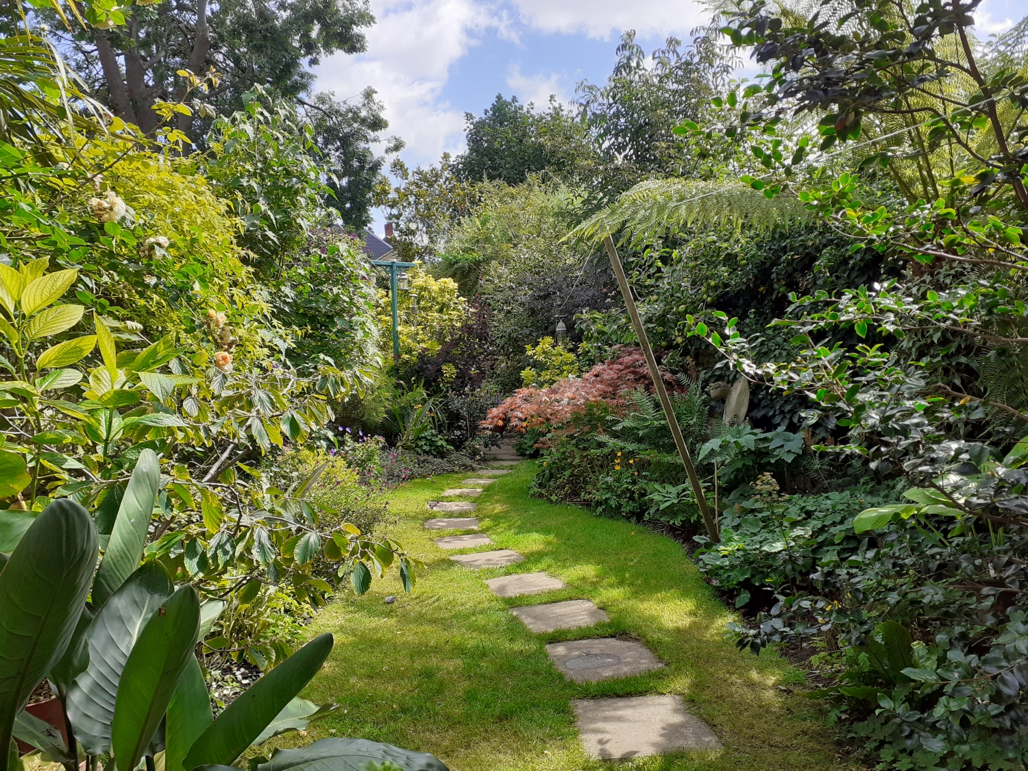 Lower Clapton Gardens, London, London, E5 0RL - National Garden Scheme