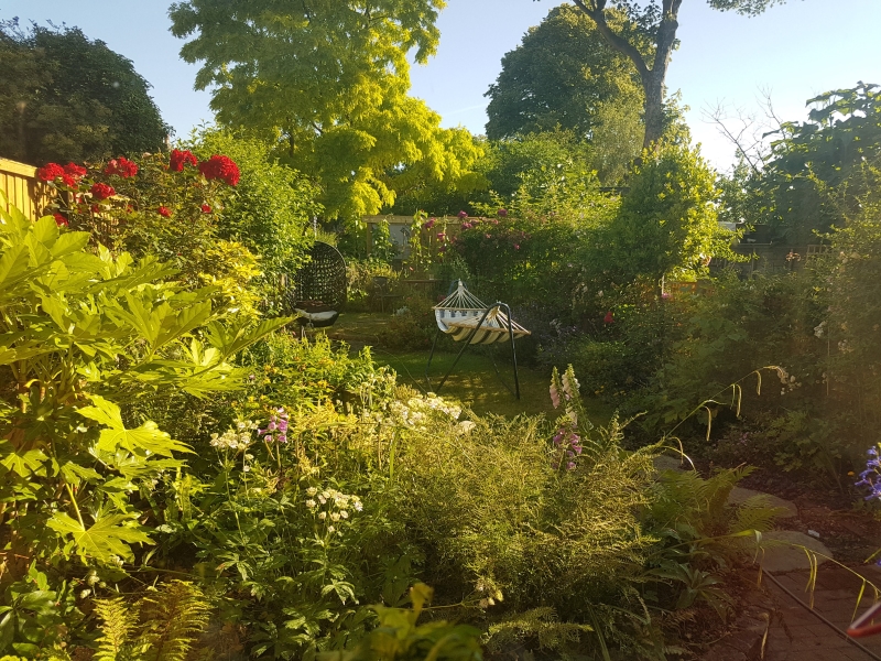 Lower Clapton Gardens