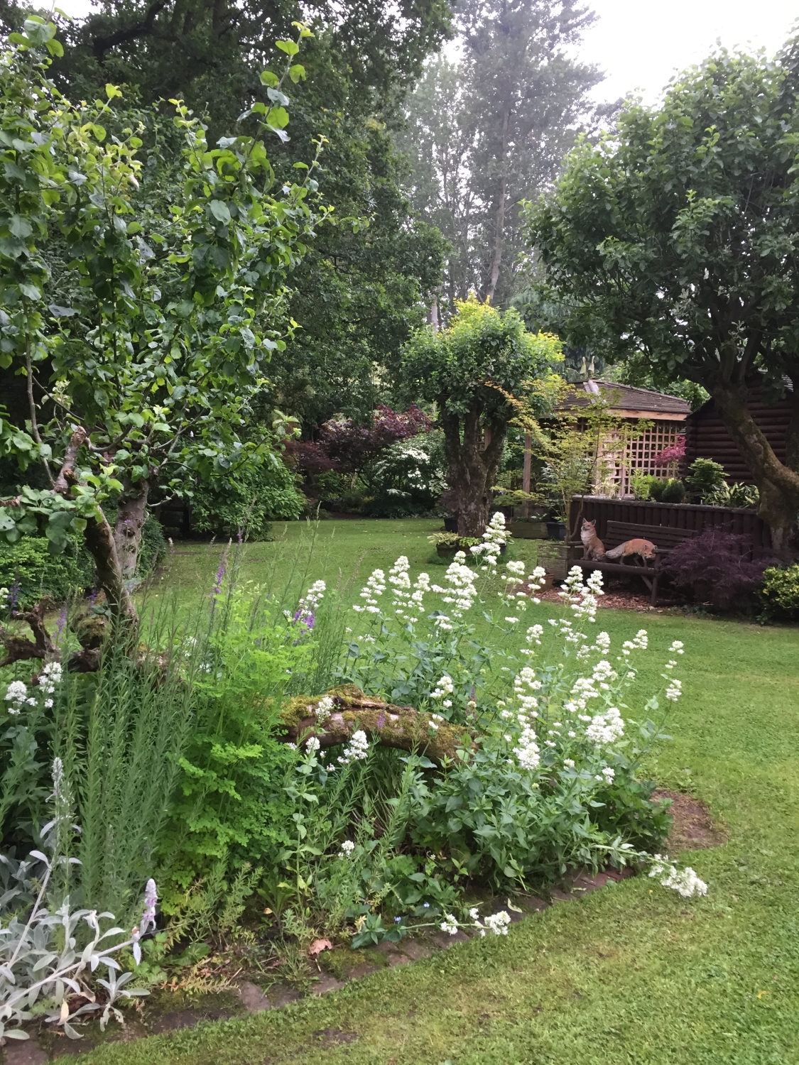 Westacres, Stourbridge, Worcestershire, DY7 5AN - National Garden Scheme