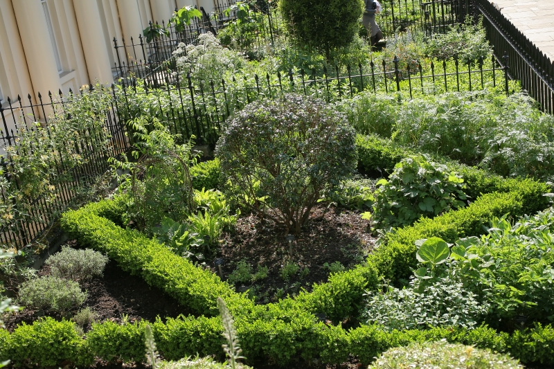 Garden of Medicinal Plants, Royal College of Physicians