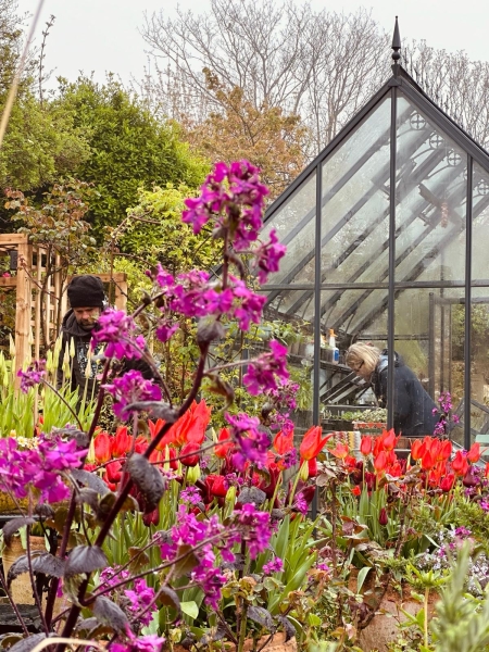 The Garden House
