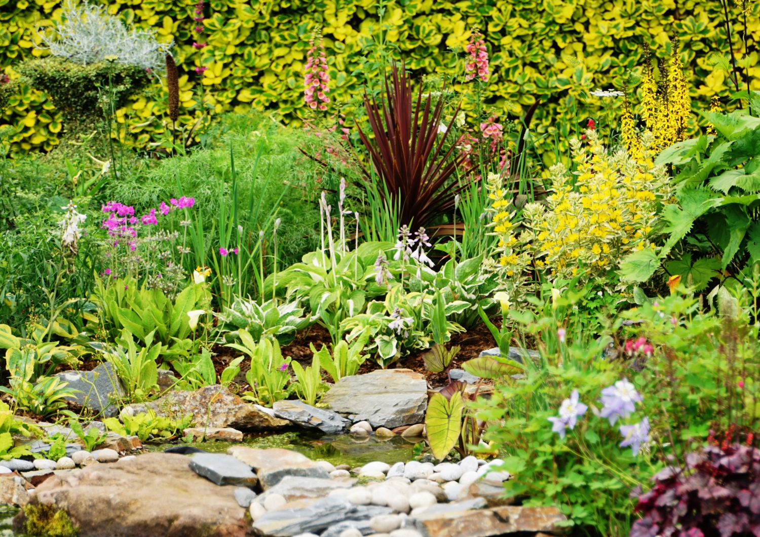 Meynell Langley Trials Garden, Ashbourne, Derbyshire, DE6 4NT ...