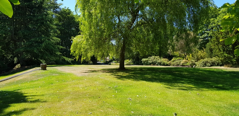 Warley House Garden