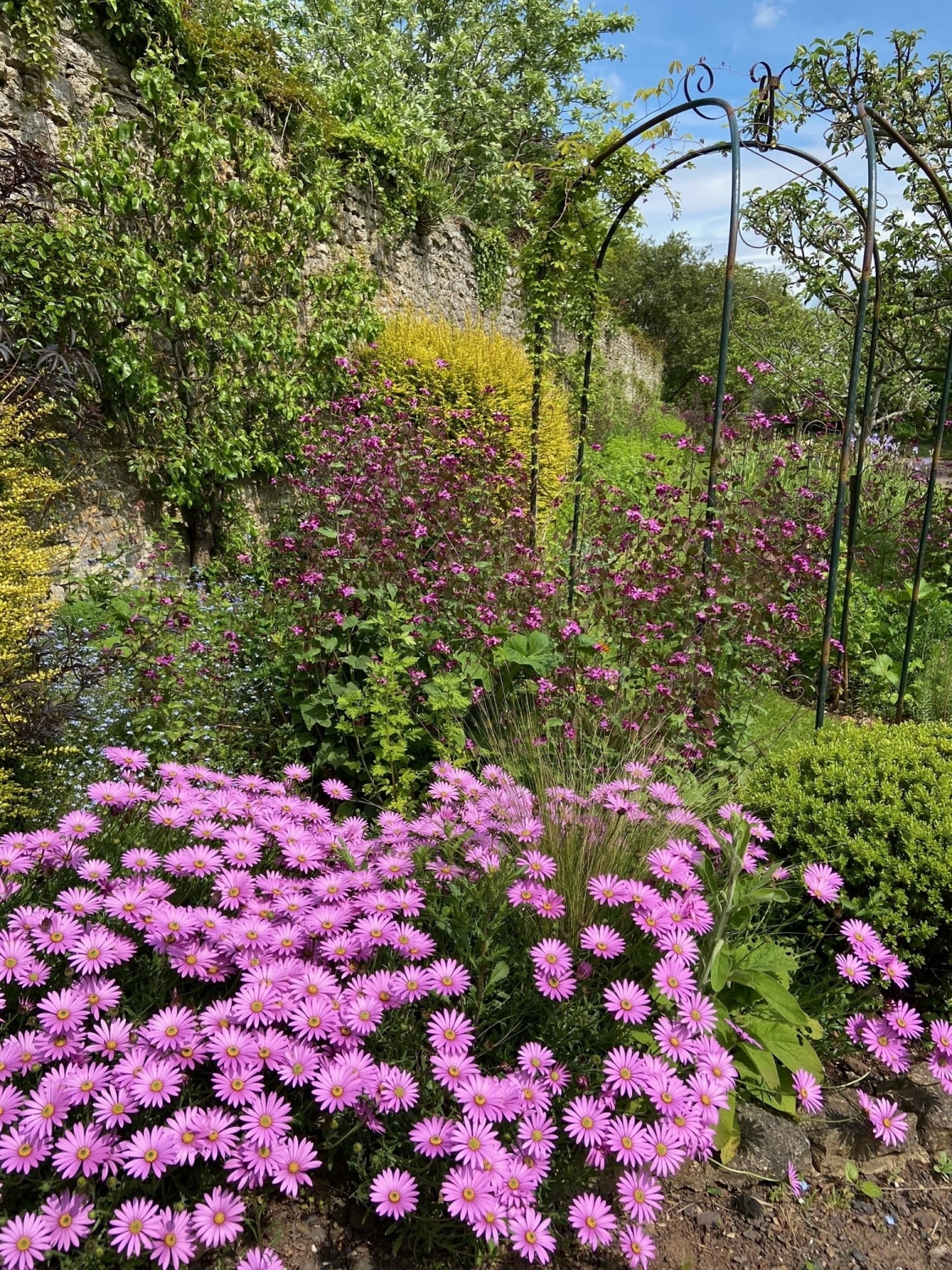 Stoberry Garden, Wells, Somerset, BA5 3LD - National Garden Scheme