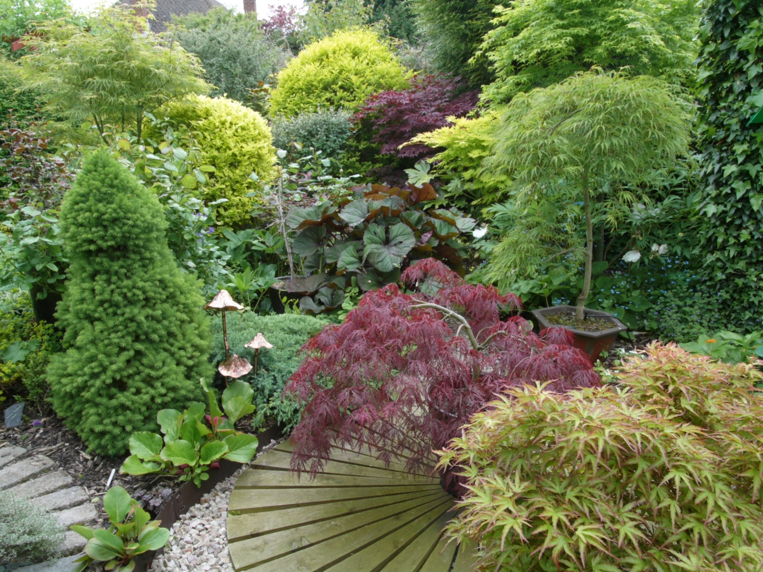 Acer Corner, Wendover, Buckinghamshire, HP22 6HQ - National Garden Scheme