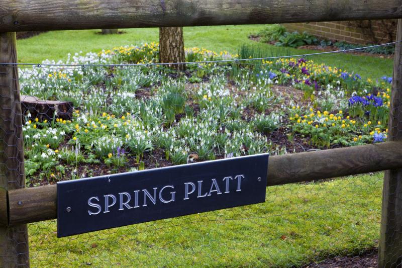 Spring Platt