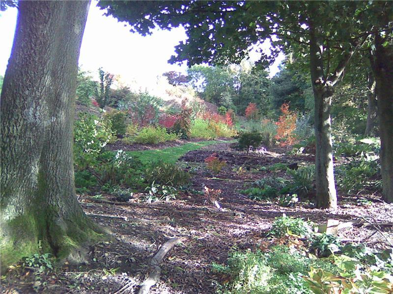 Oliver Ford Garden