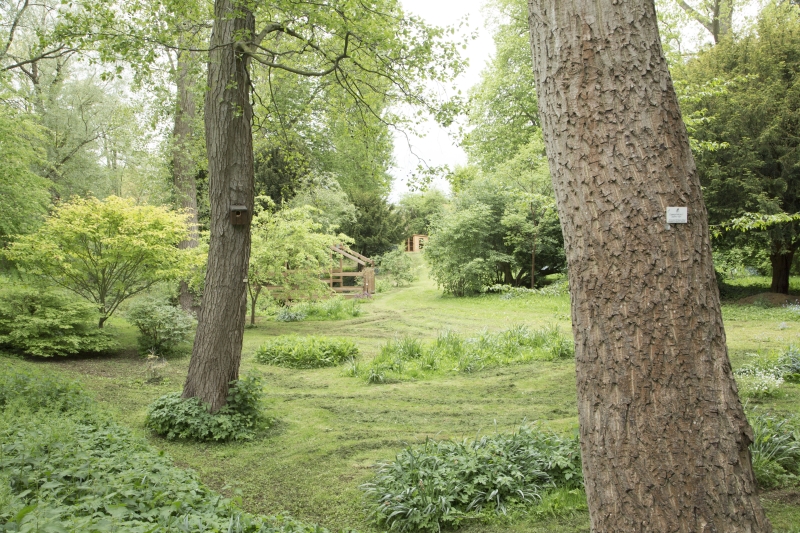 Hammond Arboretum