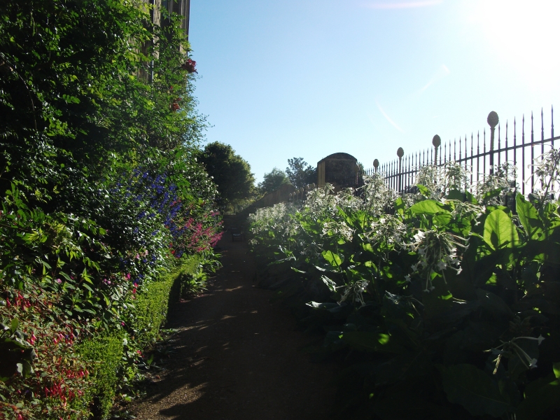 Merton College Oxford Fellows' Garden
