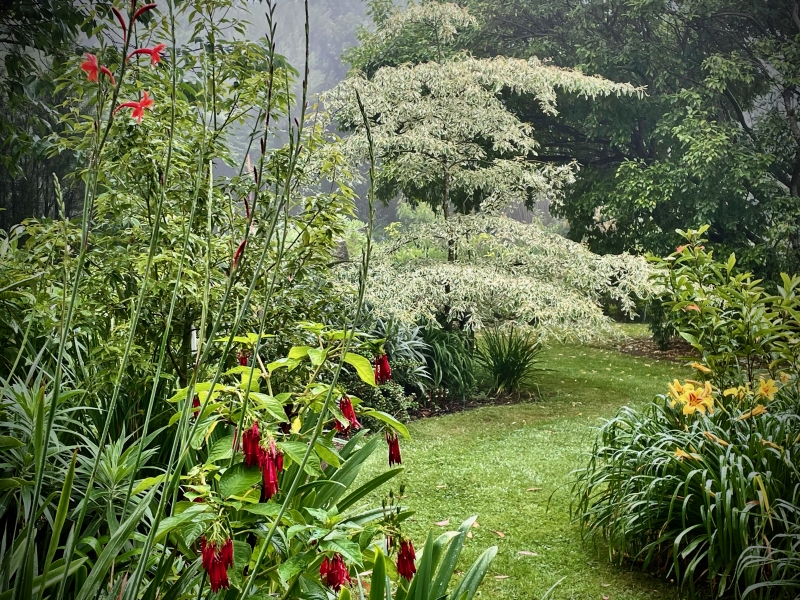 Bucks Head House Garden