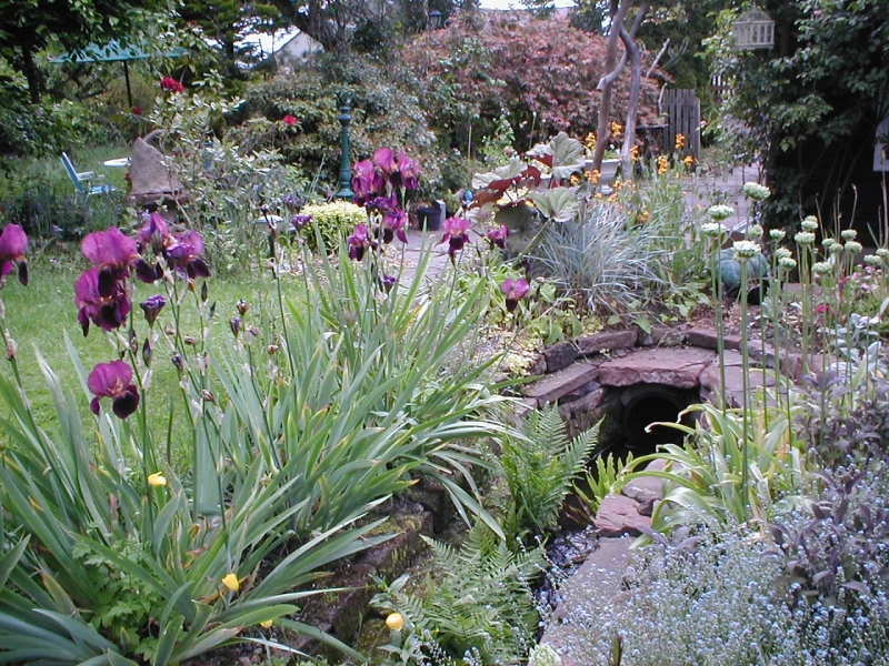 Hayton Village Gardens