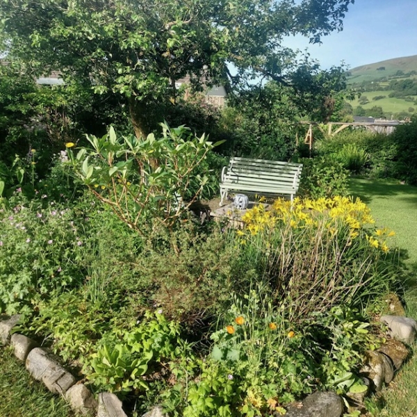 Llys-y-Coed
