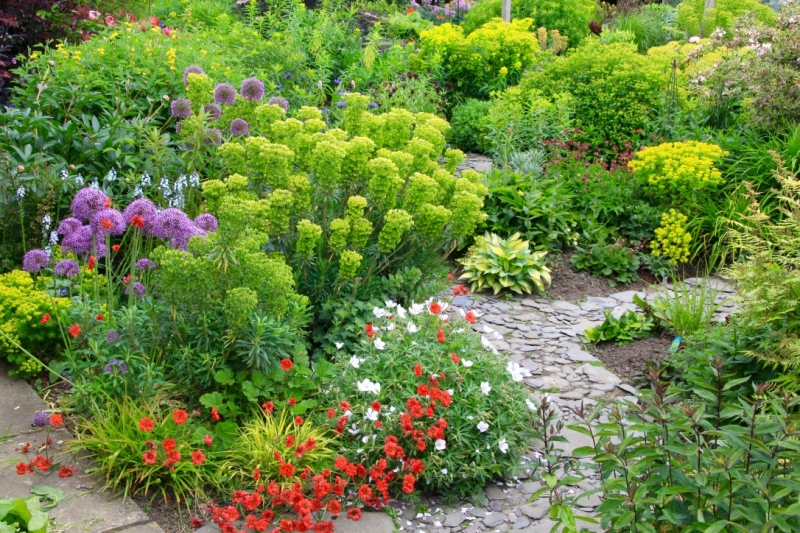 Firvale Perennial Garden image